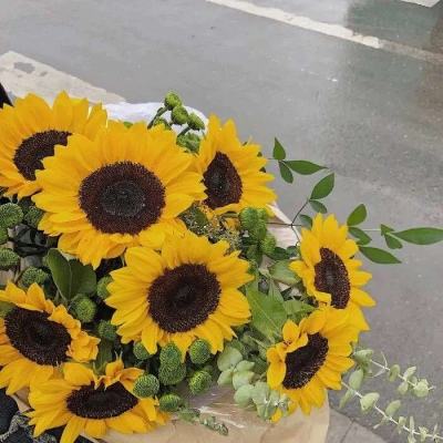 pg电子娱乐官网游戏手机app下载