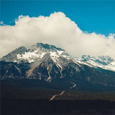 KOKapp手机app下载