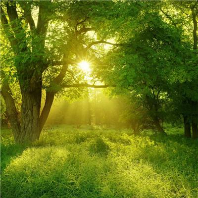 快盈lV购彩大厅手机app下载