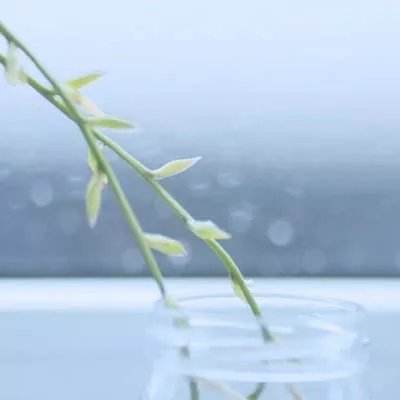 斗牛游戏大厅截图